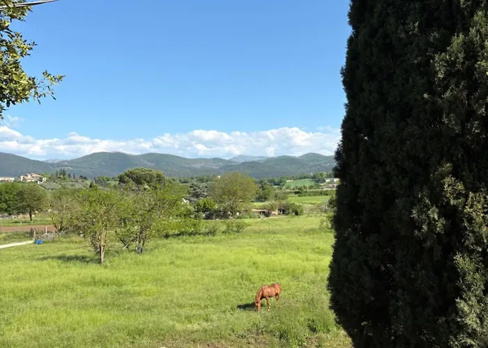 게스트하우스 Chateaux De Pep 스폴레토